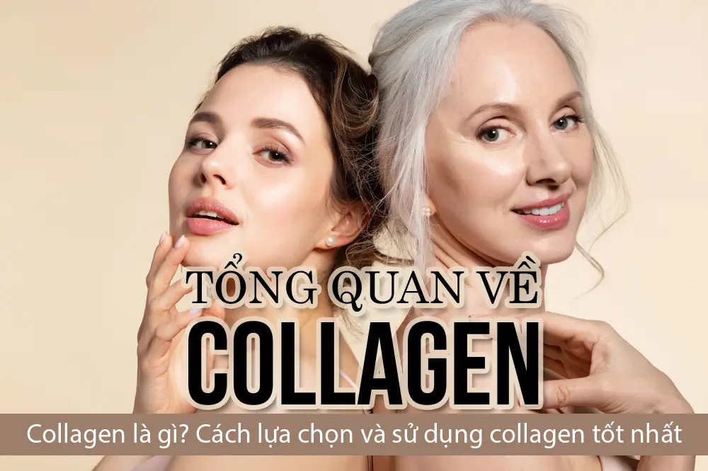 Collagen là gì? Cách lựa chọn và sử dụng collagen tốt nhất 